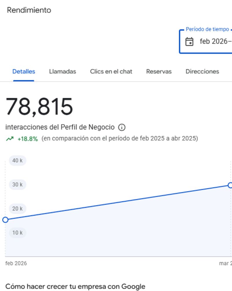Optimización de Google Business Profile y SEO local en Hidalgo