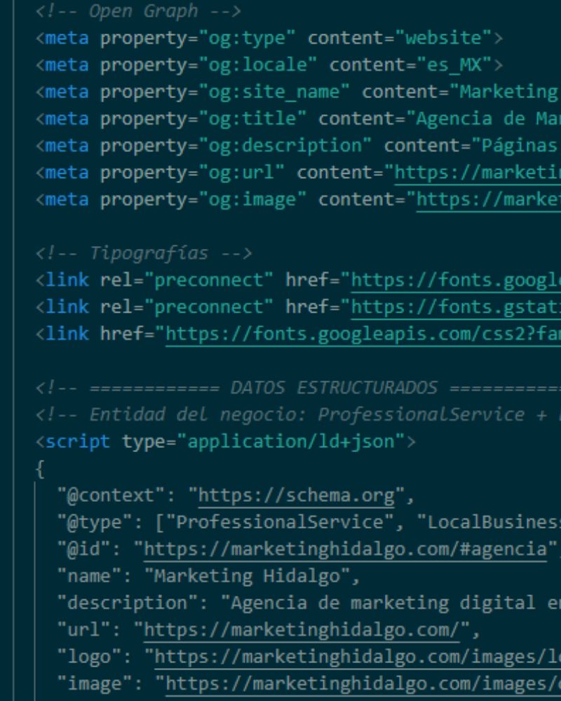 Diseño de páginas web profesionales en Hidalgo por Marketing Hidalgo